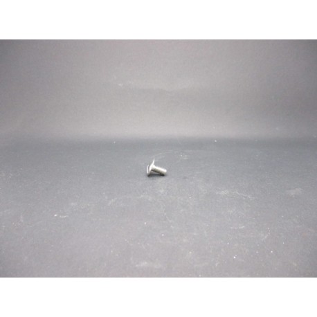 Vis Poeliers Inox A2   4X8