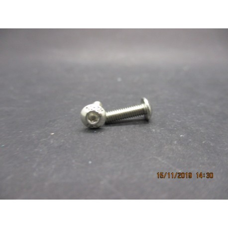 Vis BHC Inox 3x10