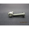 Vis BHC Inox 6x20