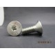Vis FHC Inox 10x25