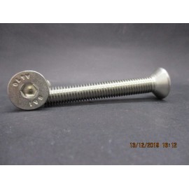 Vis FHC Inox 10x70