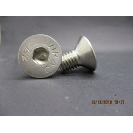 Vis FHC Inox 12x20