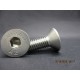 Vis FHC Inox 12x30