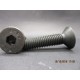 Vis FHC Brut 10.9 12x50
