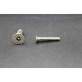 Vis Métaux Inox A2 TF Inviolable 6 Pans creux Têton central 5x30