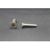 Vis Métaux Inox A2 TF Inviolable 6 Pans creux Têton central 6x30