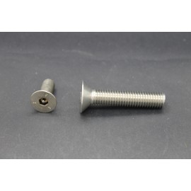 Vis Métaux Inox A2 TF Inviolable 6 Pans creux Têton central 10x50