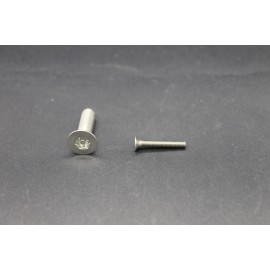 Vis Métaux Inox A2 TF Inviolable Torx Têton central 3x20