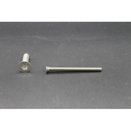 Vis Métaux Inox A2 TF Inviolable Torx Têton central 4x50