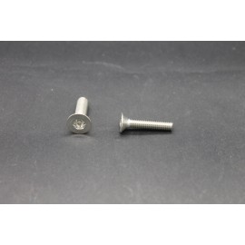 Vis Métaux Inox A2 TF Inviolable Torx Têton central 5x20