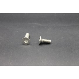 Vis Métaux Inox A2 TF Inviolable Torx Têton central 6x16