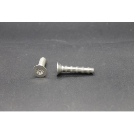 Vis Métaux Inox A2 TF Inviolable Torx Têton central 6x30