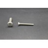 Vis Métaux Inox A2 TB Inviolable Snake-Eye 4x30