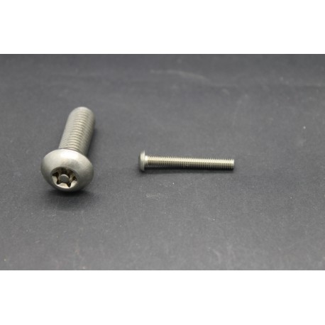 Vis Métaux Inox A2 TB Inviolable Torx Têton central 4x30