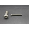 Vis Métaux Inox A2 TB Inviolable Torx Têton central 4x40