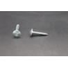 Vis de Penture TC Large Torx Acier Zingué Blanc 6 X 30