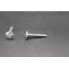 Vis de Penture TC Large Torx Acier Zingué Blanc 6 X 35